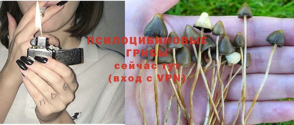 экстази Абаза