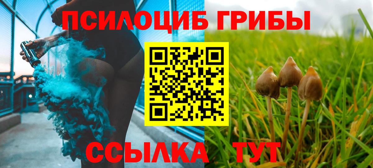 Галлюциногенные грибы Psilocybe  где найти наркотики  Псилоцибиновые грибы Magic Shrooms  Приморско-Ахтарск  Вход с VPN 