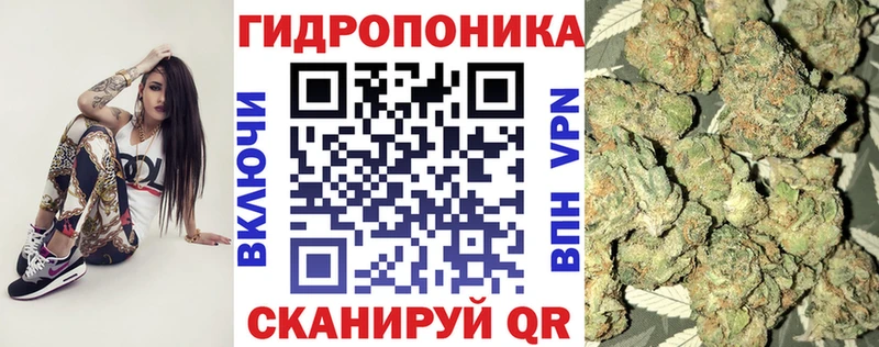 где купить наркотик  Приморско-Ахтарск  Канабис тримм 